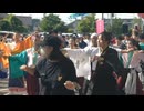 総踊り　鳴子華　ピオニウォークよさこい2026