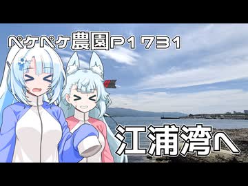 2026年5月20日　日記1731　田子の浦から江浦湾へ向けて走り続ける