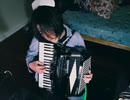 アコーディオンカバー　少女ふぜゐ/GUMI　みきとP