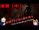 【刀剣乱舞偽実況】霧の町で妻を探す17日目（迷宮・中）【審切々】
