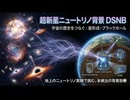 超新星ニュートリノ背景DSNBがつなぐ宇宙の歴史：星形成・ブラックホール形成と地上のニュートリノ実験