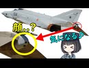 なぜF-4戦闘機の後ろには顔みたいなのがあるの？