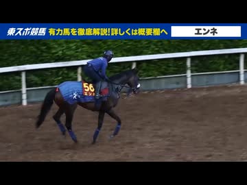 【オークス】出走予定馬たちのフォトパドック