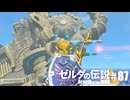 【ゆっくり実況】マスターモードで遊ぶブレワイ#87