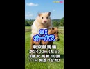 【馬番発表後2番目位に早い競馬予想】ＧⅠ オークス AIみかん 予想担当は栽培 きのこ Cocoんco の推奨馬3頭で好配当的中目指します《#競馬楽部 LOVE》通算Vol.432
