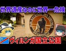 世界遺産なのに世界で最も危険な国立公園？ヴィルンガの現実【ゆっくり解説】