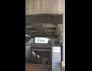 乃木坂駅から広尾駅まで歩く：I walk from Nogizaka Station to Hiroo Station