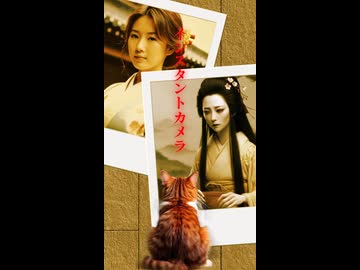 【創作短編】インスタントカメラ