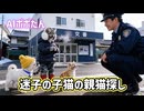 AI猫ポポたん 愛犬チワワの散歩中に迷子の子猫を発見！ 親猫を探しに行く