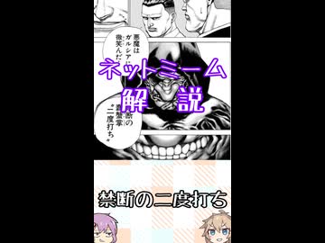ゆかつむネットミーム解説【禁断の二度打ち】