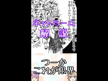 ゆかつむネットミーム解説【つーか これが限界】