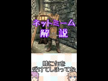 ゆかつむネットミーム解説【膝に矢を受けてしまってな】