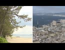 「謎の風邪」「謎の黄色い粉」　福岡で話題の2つのワードに関連はあるのか？　専門医「マツ花粉の可能性も」