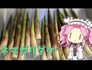 【山と海の幸】ネマガリダケに興味があったので分けて貰いました