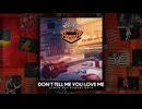 Night Ranger - Don't Tell Me You Love Me (2026) - Official Visualizer Video