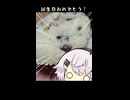 【ユーステラ投稿祭】ノイズちゃんがゴロチョコメロンパンを食べるだけ【VOICEROIDグルメ】