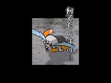 家なき子あかりちゃん