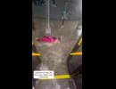女vs洪水