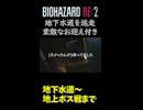 【バイオハザードRe3　Part4】塗れるだの燃えるだの