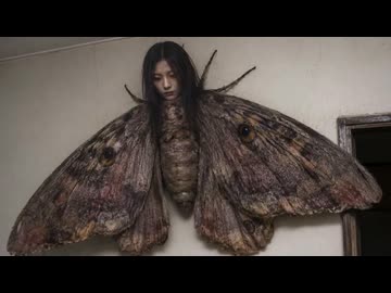ホモと見る虫女