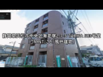 ニーナゴッサン