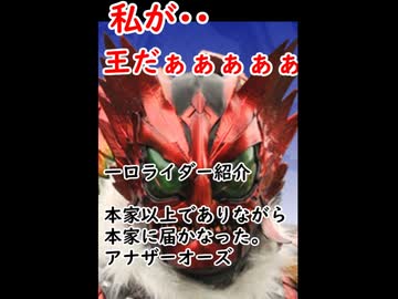 一口ライダー紹介　無限の欲を治める器は満たされなかった。　【仮面ライダーアナザ-オーズ】