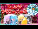 【ぬいぐるみ旅行祭】琴葉つーりんぐ！！あしかがフラワーパーク