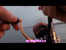 バスロッドで往く！　初心者の東扇島西公園エギング釣行