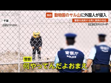 【独自】バンチ君のサル山に外国人が侵入…挑発する男に警察が実行した異例の対応とは？ 千葉