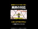 【独自】バンチ君のサル山に外国人が侵入…挑発する男に警察が実行した異例の対応とは？ 千葉
