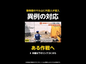 【独自】バンチ君のサル山に外国人が侵入…挑発する男に警察が実行した異例の対応とは？ 千葉