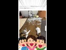 【ｼﾏｴﾅｶﾞ!】Xでバズったツイートが面白すぎるw　Part 84