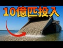 アメリカが10億匹の最強遺伝子を持つ貝を海に投入する理由【生物解説】