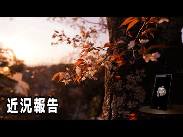 【紲星あかり】灯の日本行路【A.I.VOICE】