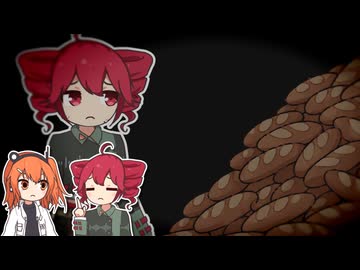 五億フランスパンボタン？