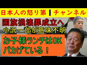 【国旗損壊罪成立へ！】まずは謝罪します！「私も騙されていました」マスコミの報道につい乗ってしまいました/お子様ランチは例外などとくだらないことだと小沢一郎