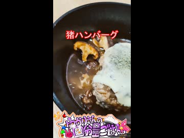 【ショート動画】いのししハンバーグ