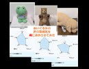 【AIアプリ】ぬいぐるみの声の雰囲気をAIに決めさせてみた【ぬいとーく】