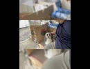 わんこのしーちゃん