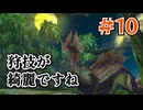 ＃10 狩技フィニッシュしないと進めないダブルクロス！【MHXX/NS】