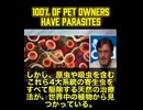 犬や猫を飼う人の100%が何らかの寄生虫に感染している可能性があると、寄生虫学者達の研究を紹介
