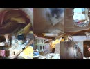 ファンシーラットの生きた記録2026年5月21日②