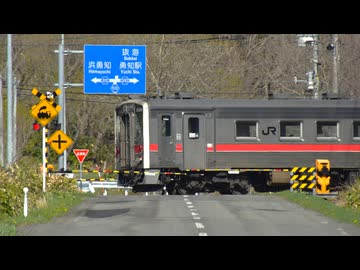 【のら】2026年 GW 撮り鉄ーリング～宗谷本線～