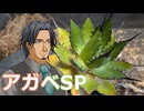 【多肉植物】フリモメンは普及種に癒されたい＃13 ホリダっぽい見た目のアガベの調子が悪いので植えかえしてみた【ソフトウェアトーク劇場】