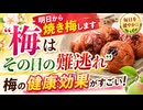 明日から焼き梅します　「梅はその日の難逃れ」…梅の健康効果がすごい！#健康チャンネル