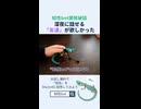 知性bot開発秘話:深夜に話せる「友達」が欲しかった