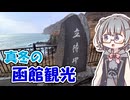 【冬の北海道】立待岬へ行って温泉に入る函館観光【VOICEPERK旅行】