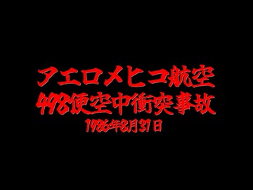 ホモと知る航空事故.mp6