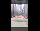 東京に旅行した時の一般人とGeoguessrやってる人の違い