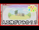 人工物を住処にするのは人ありきすぎんか？|ぽこあポケモン#03